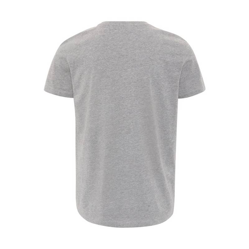 Chiemsee T-Shirt T-Shirt Herren
