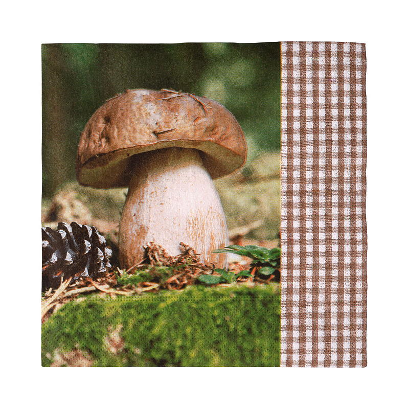Vie Eco Servietter 20-pk 33x33 cm Høstsesong