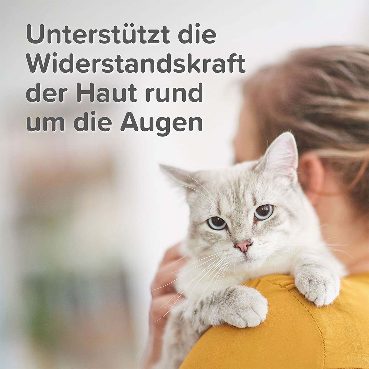 beaphar Sensitiv Augenpflege 50ml günstig kaufen