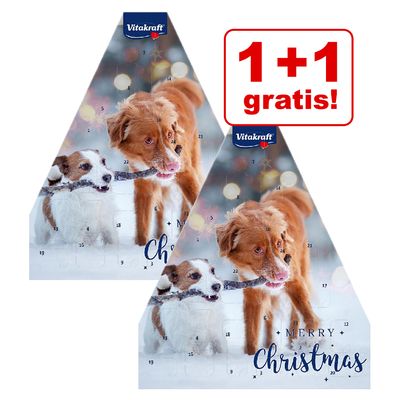 1 + 1 gratis! 2 x Vitakraft Adventskalender Hund