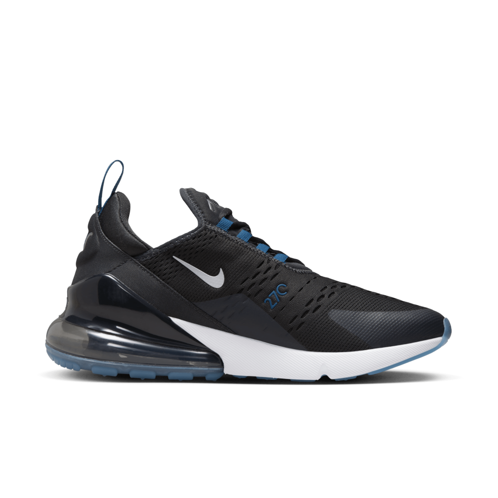 Nike Air Max 270 FV0380-001 / grau