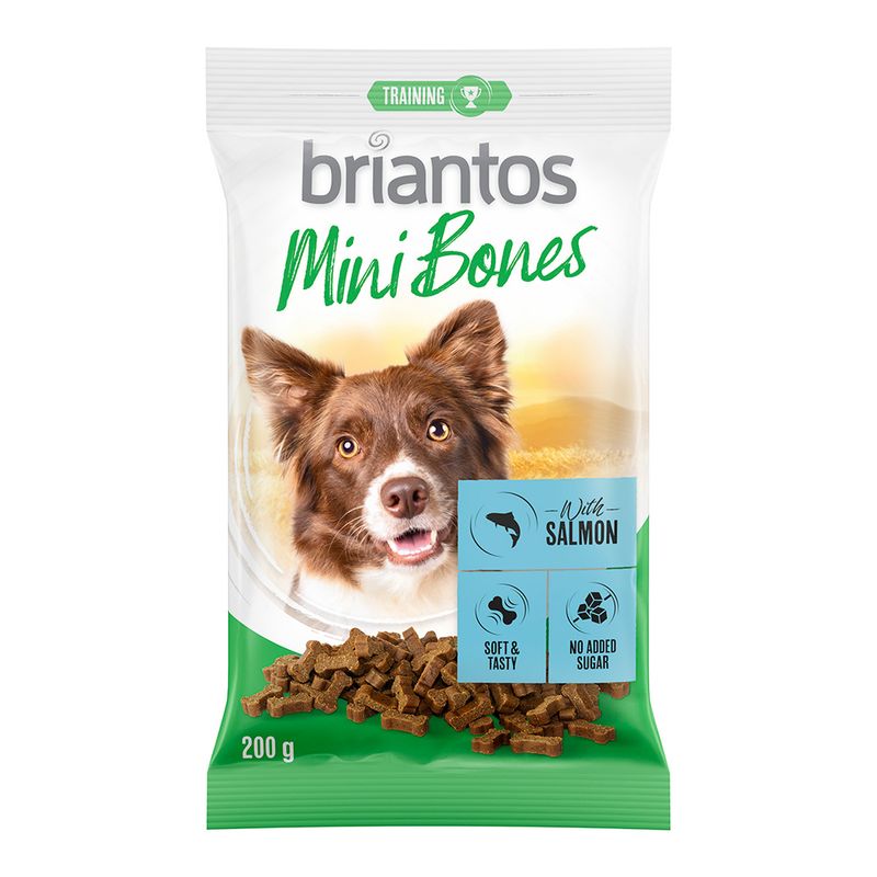 Briantos Mini Bones für Hunde