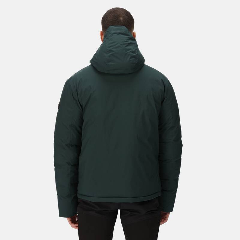 Regatta Colehurst Winterjacke Herren