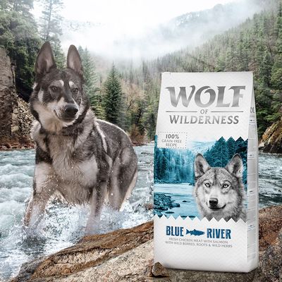 12 + 2,4 kg gratis! 14,4 kg Wolf of Wilderness - getreidefrei