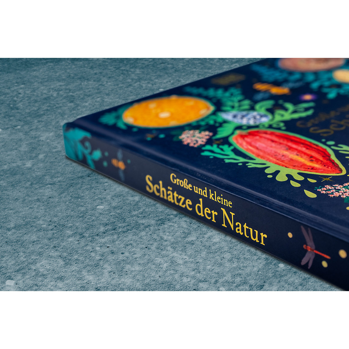 Große und kleine Schätze der Natur