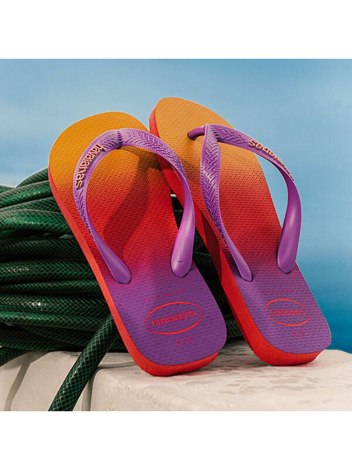 Havaianas Zehentrenner Coralnew in Lila/Orange günstig kaufen