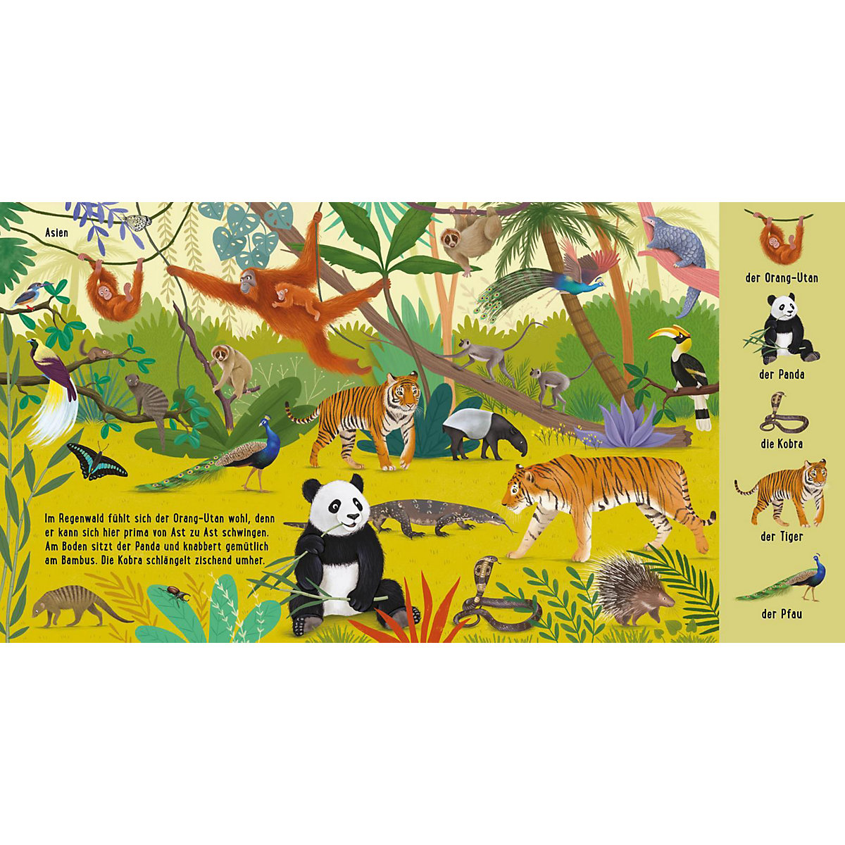 Mein erstes Natur-Wimmelbuch: Tiere aus aller Welt