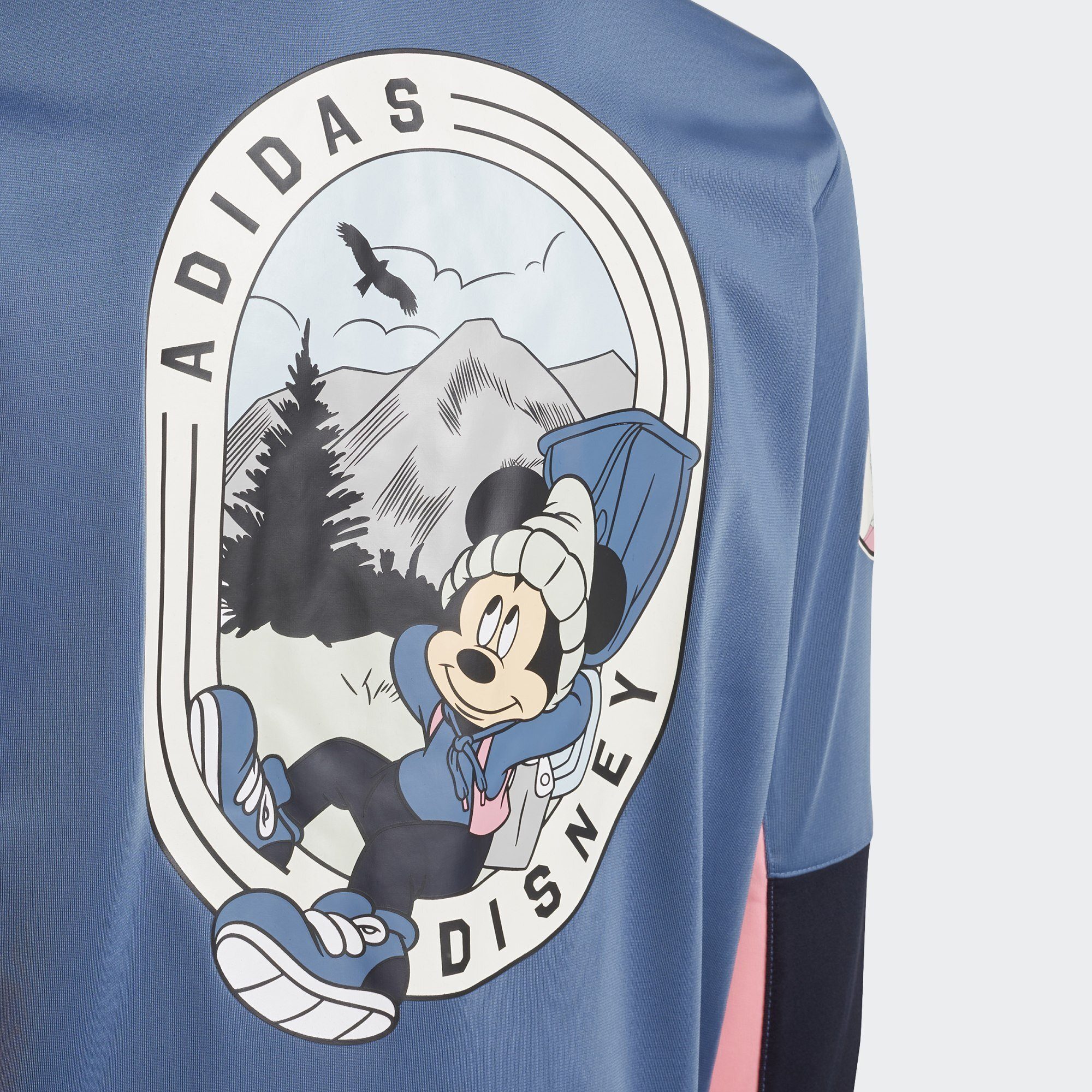 adidas Originals Trainingsjacke