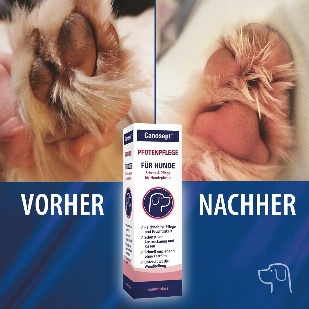 Canosept Pfotenpflege Canosept Pfotenpflege für Hunde 75 g
