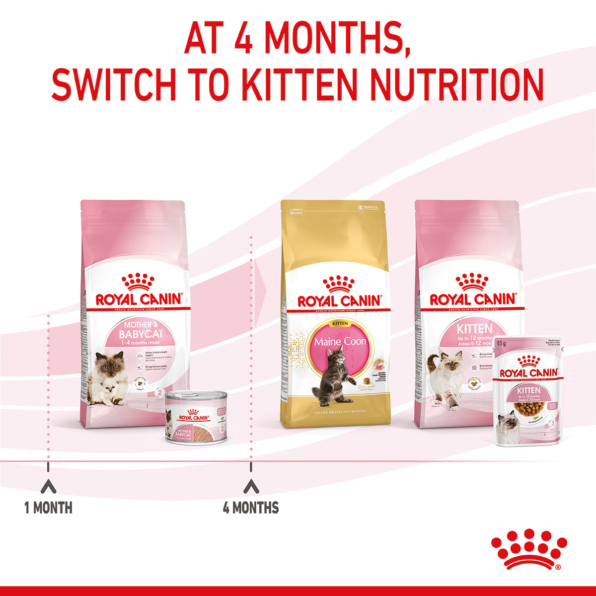 ROYAL CANIN MOTHER & BABYCAT Mousse für tragende Katzen und Kitten