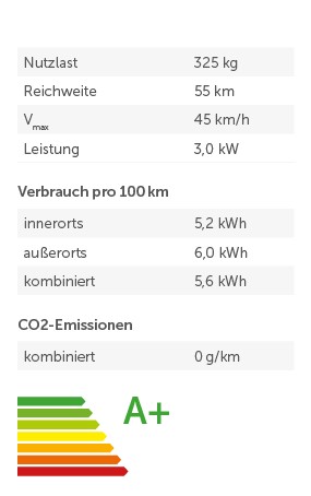 ARI Motors ARI 345 Verkaufsfahrzeug Lastenmoped E-Roller Elektrotrike inkl. Speditionskosten & vor Ort Einweisung