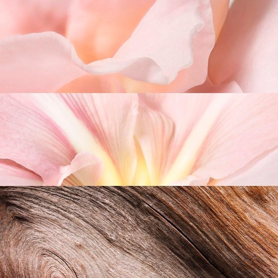 Jil Sander Sunlight Water of Light