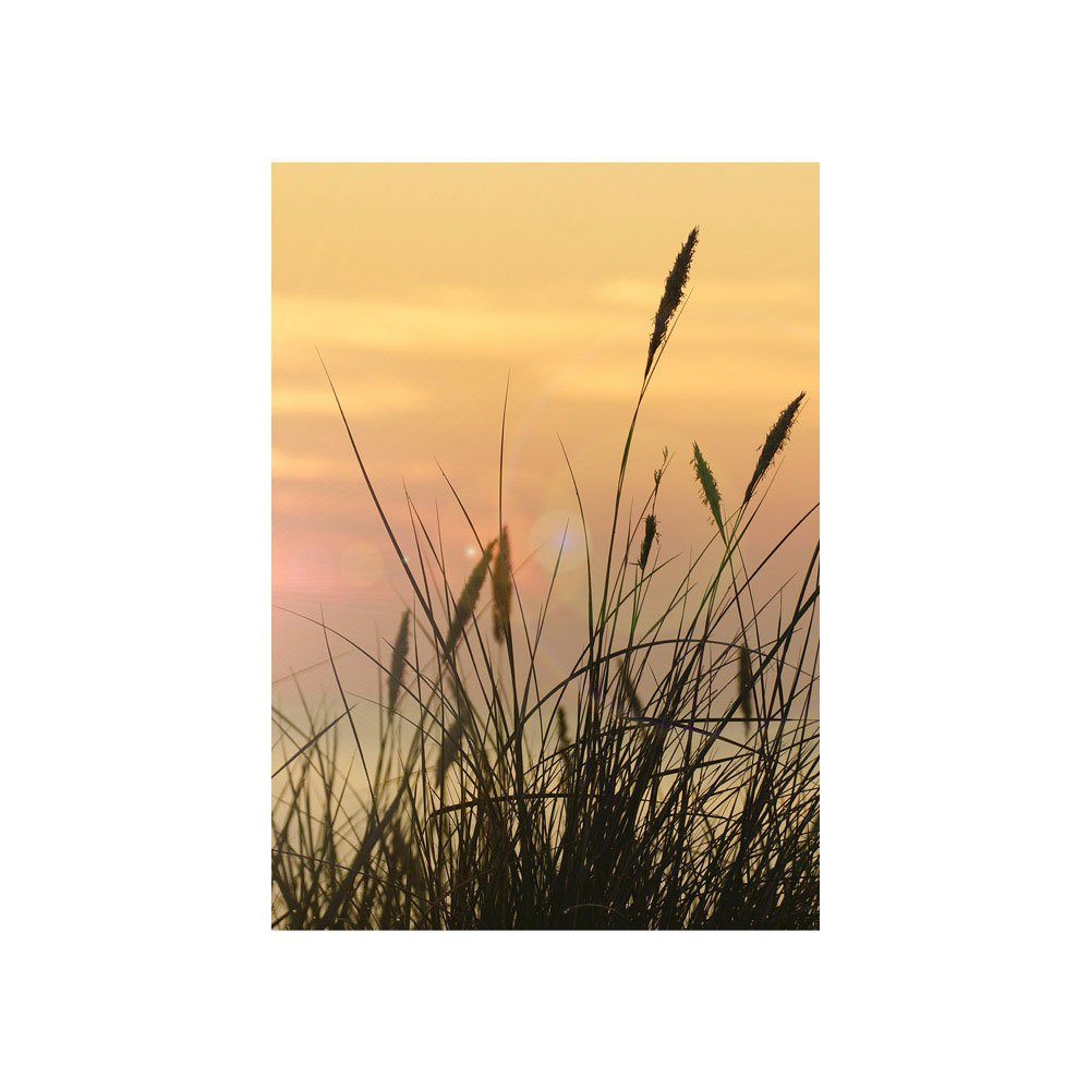 liwwing Fototapete Fototapete Sonnenaufgang Sonne Feld Romantisch liwwing no. 206, Pflanzen
