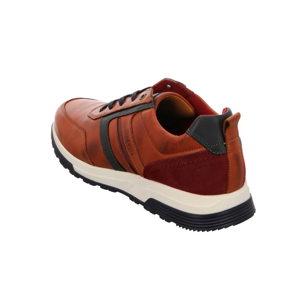 SALAMANDER Dayman Sneaker