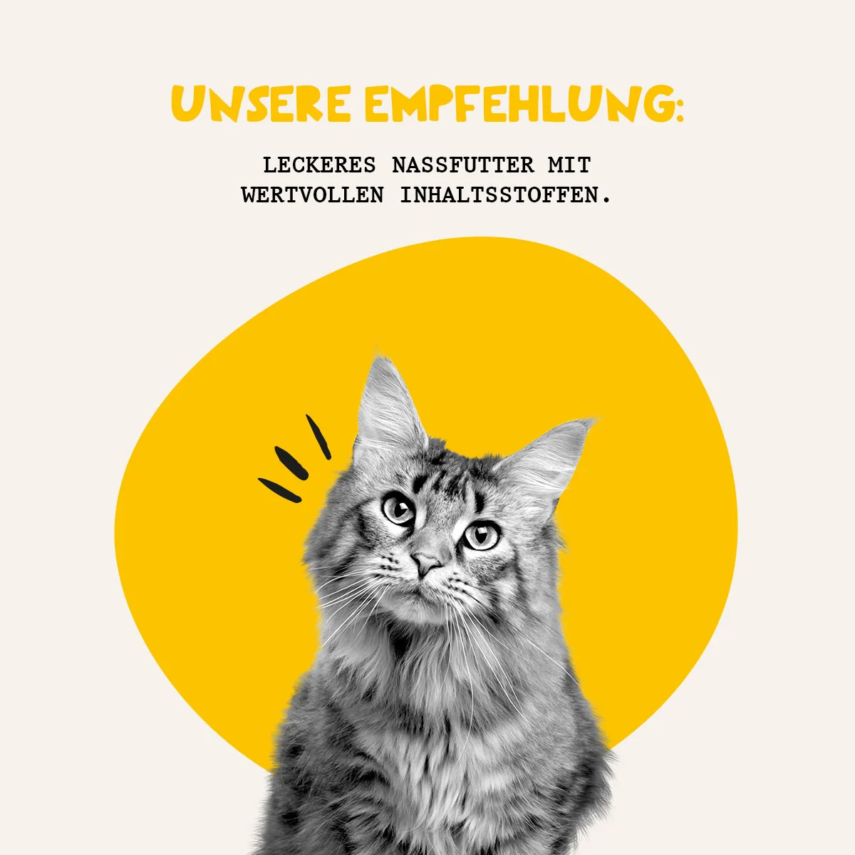 Dogs'n Tiger Köstlich Nassfutter Pute günstig kaufen bei ZooRoyal