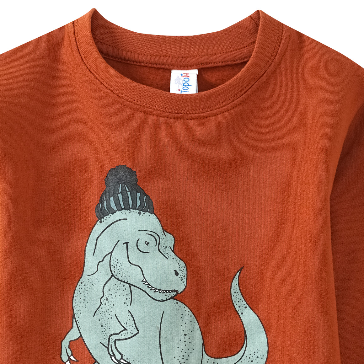 Jungen Langarmshirt mit Dino-Motiv