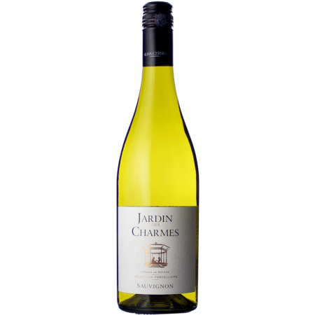 JARDIN DES CHARMES SAUVIGNON 2022 - ALMA CERSIUS