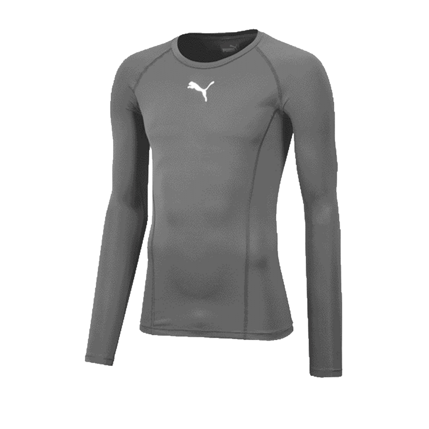 PUMA LIGA Baselayer Longsleeve Grau F13