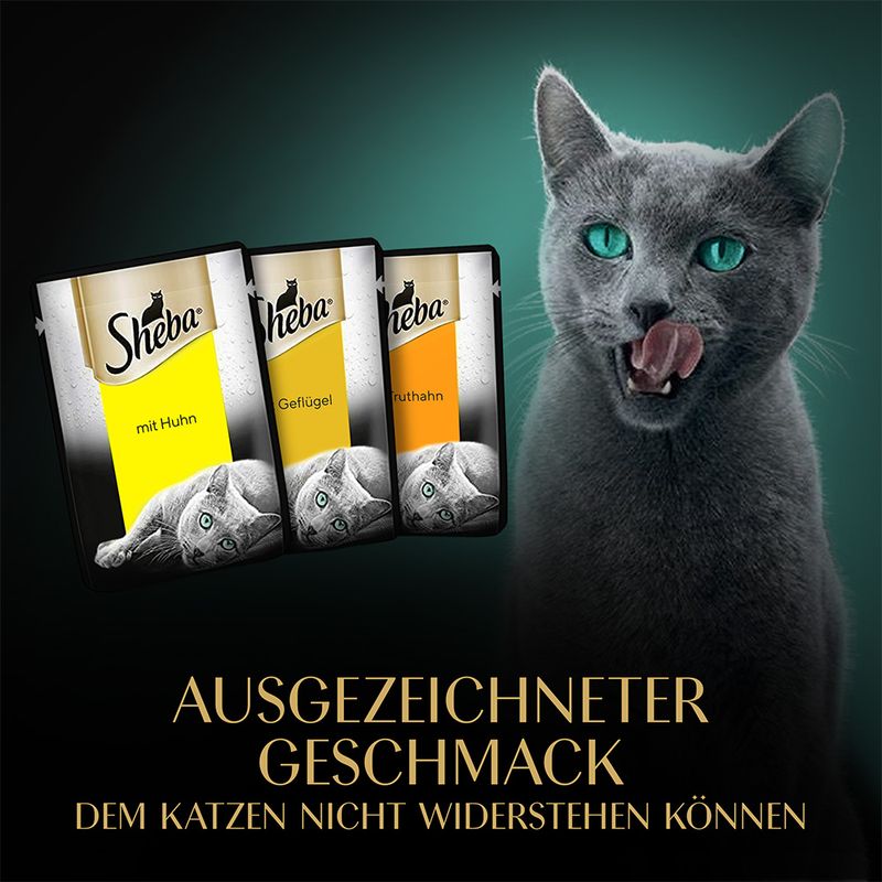 Multipack Sheba Fresh & Fine Frischebeutel 50 x 50 g | bitiba.de
