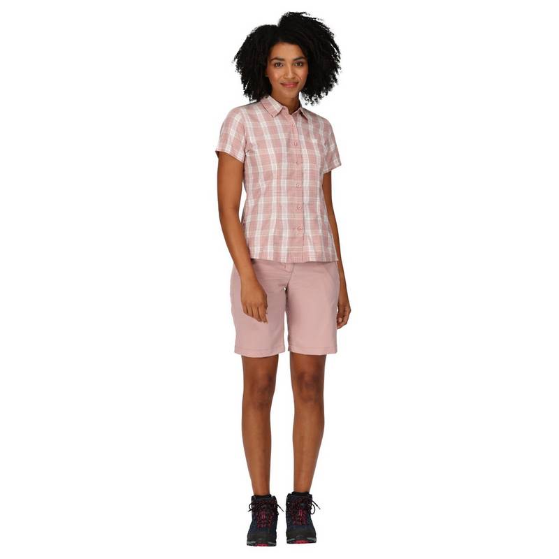 Regatta Mindano VII Funktionsbluse Damen