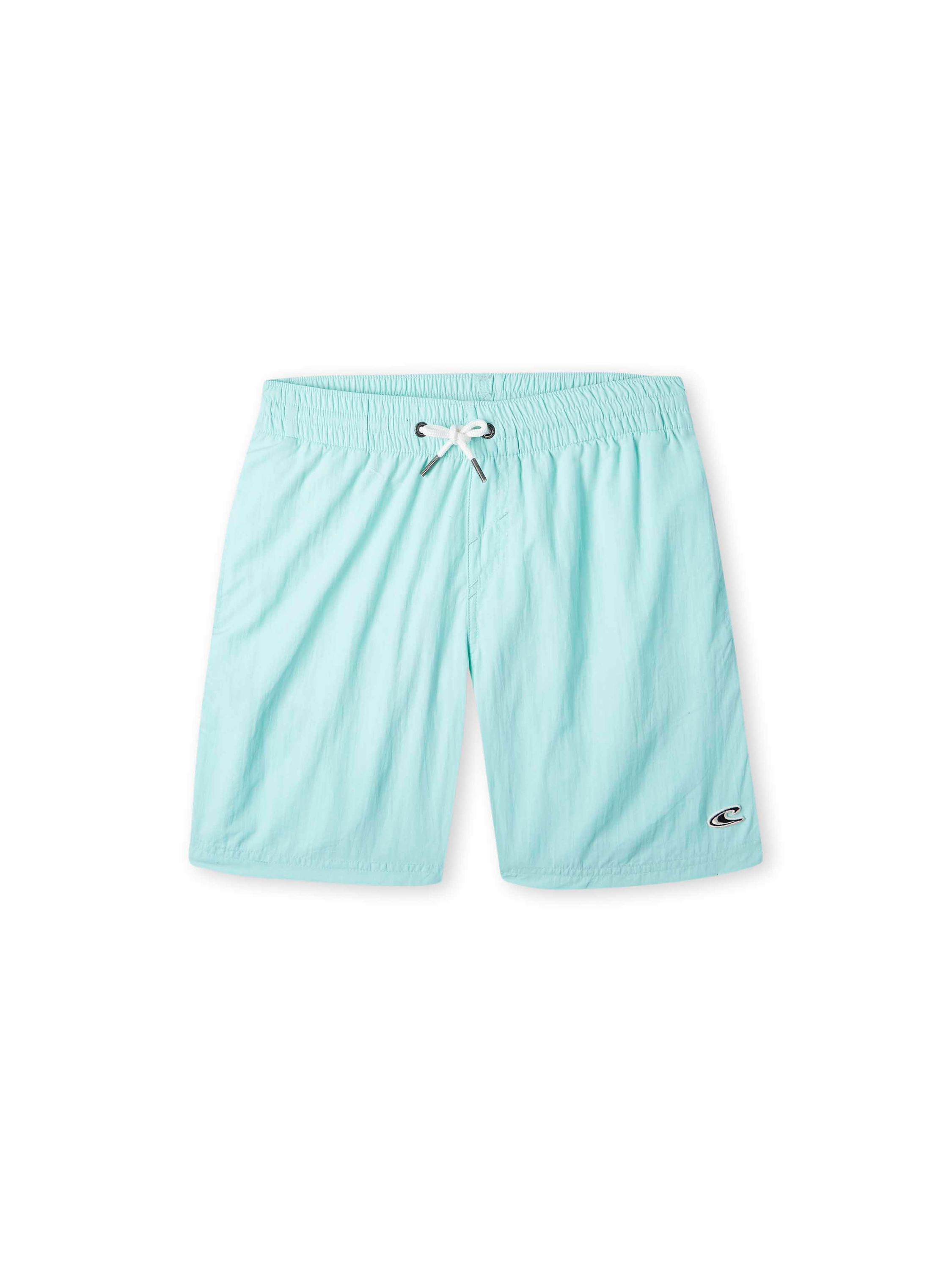 Board Shorts 'Vert'