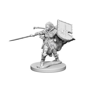 Human Female Paladin: Pathfinder Deep Cuts Unpainted Minis