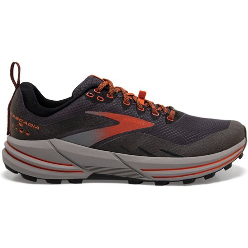 HERREN TRAILRUNNINGSCHUHE CASCADIA 16 GTX