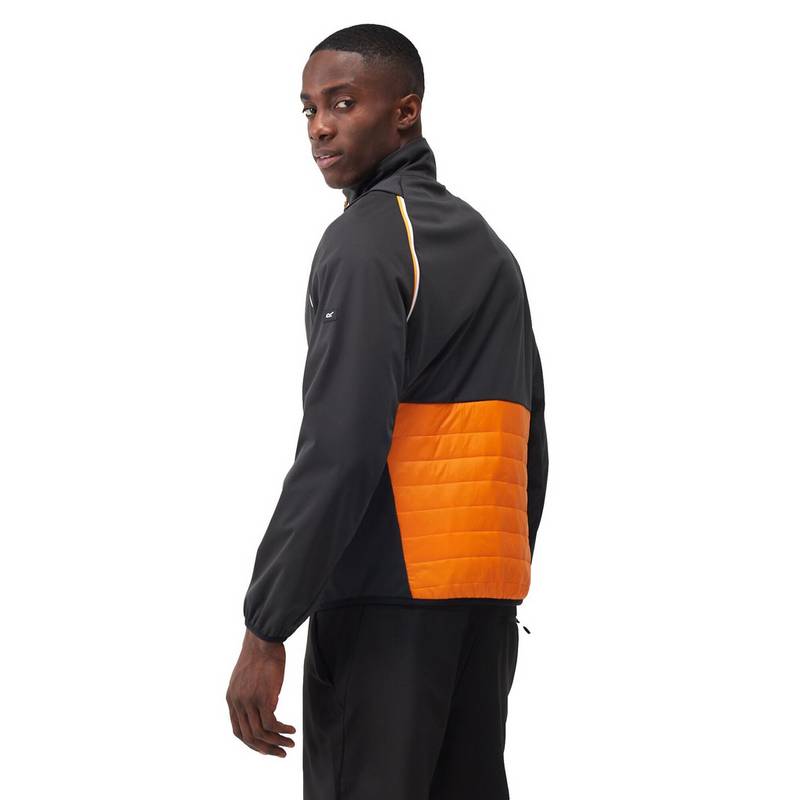 Regatta Steren Funktionsjacke Herren