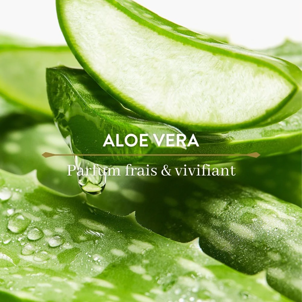 Le Petit Olivier Freshness Aloe Vera Deodorant