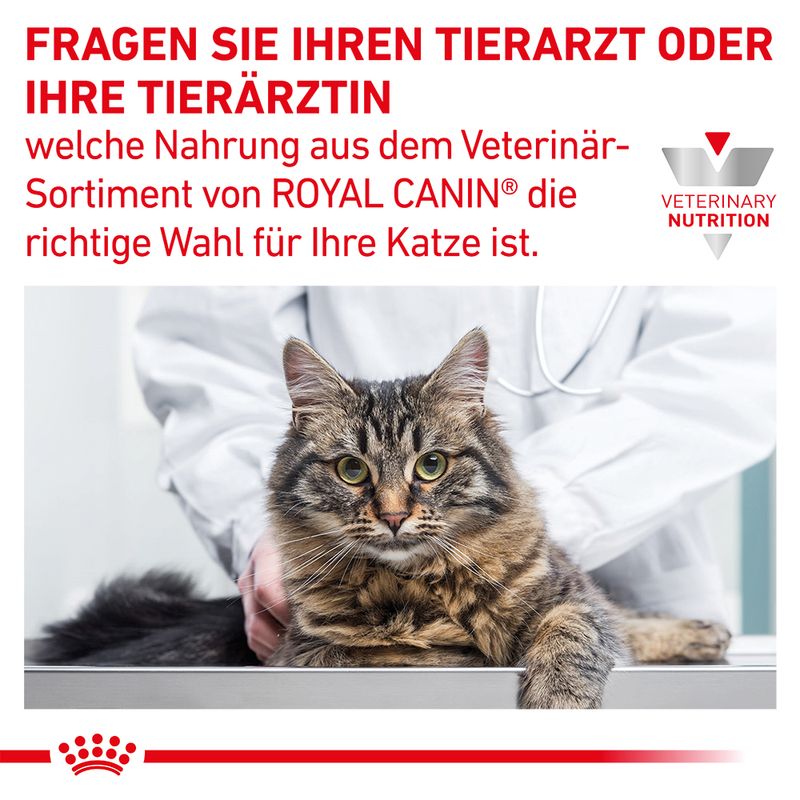 Royal Canin Veterinary Feline Gastrointestinal in Soße | bitiba %