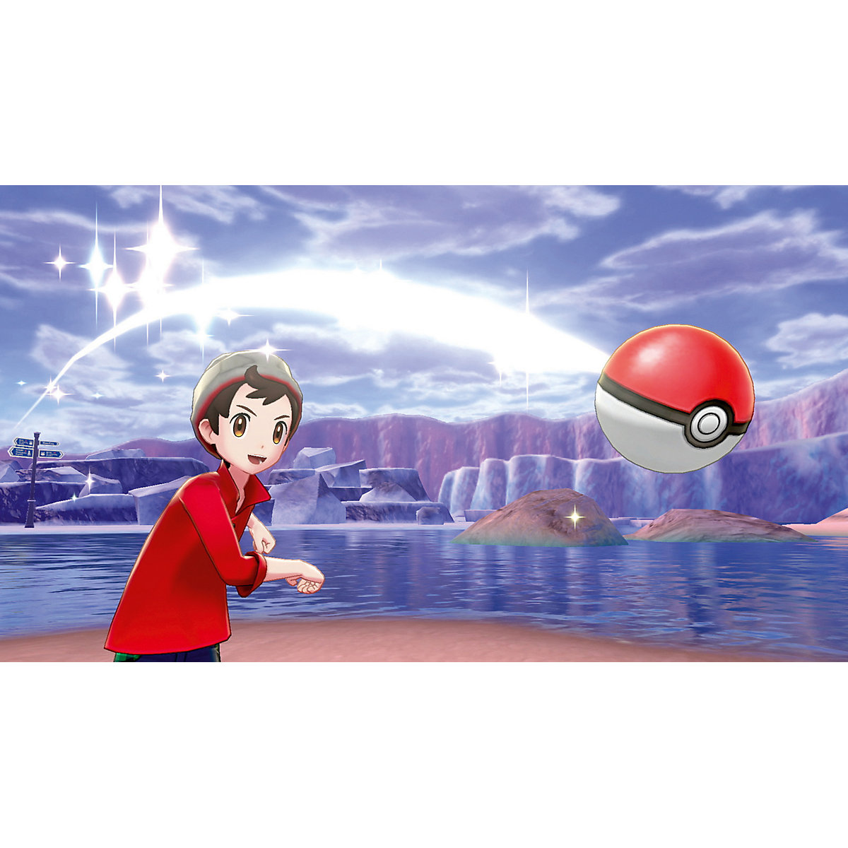 Nintendo Switch Pokémon Schwert