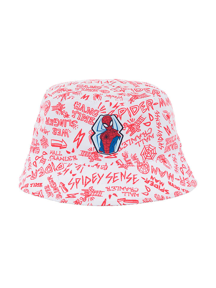 Spiderman Hut 
