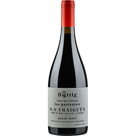VINO DE VINEDO 