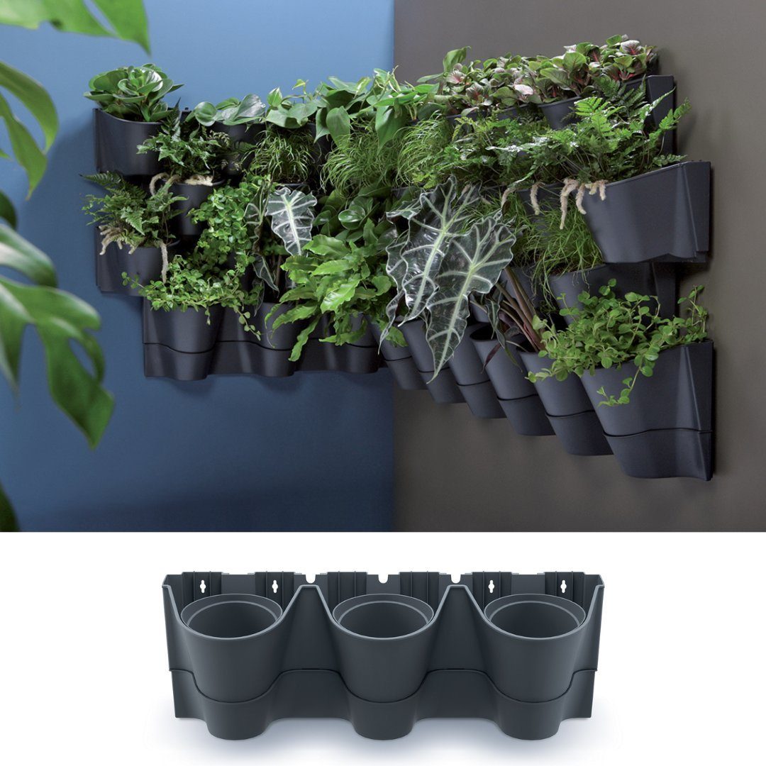 Prosperplast Blumentopf Vertikaler Garten Wandgarten Pflanzenwand Hängender Pflanzwand, Selbstbewässerung, Stapelbar