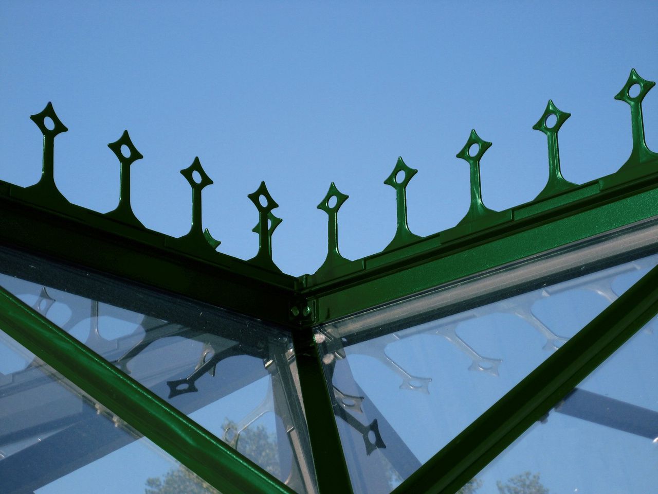 Vitavia Firstkrone, grün für Sirius