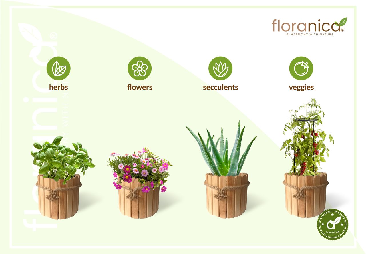 Pemicont Floranica Runder Blumentopf aus Holz 33x20cm Natutal Imprägnierte Kiefer Gehäuse für Kräuter Blumen Haus- und Gartendekoration Truhe Für den Innen- und Außenbereich EU-Produkt