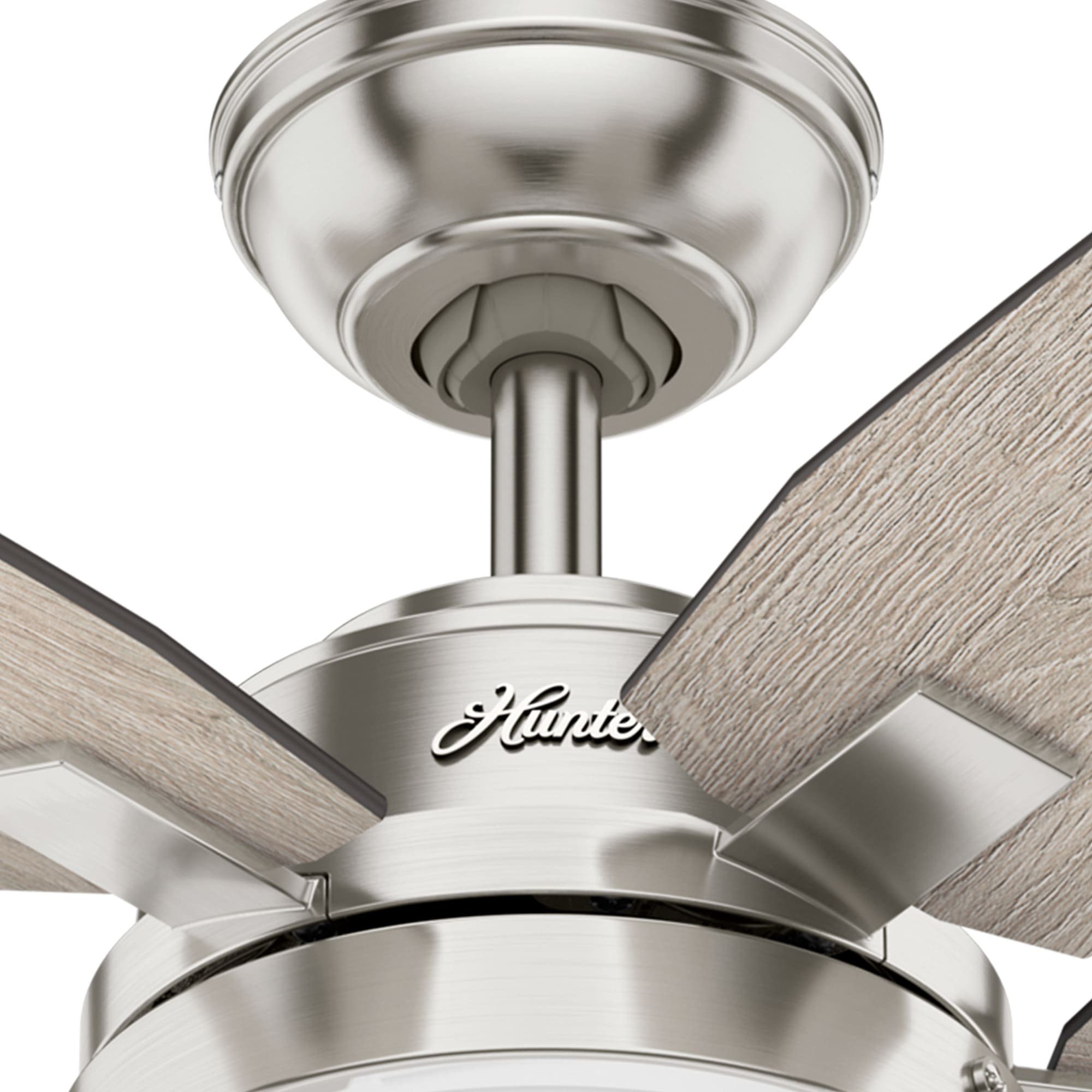 Hunter Deckenventilator Arcot, Mit Zugschnur