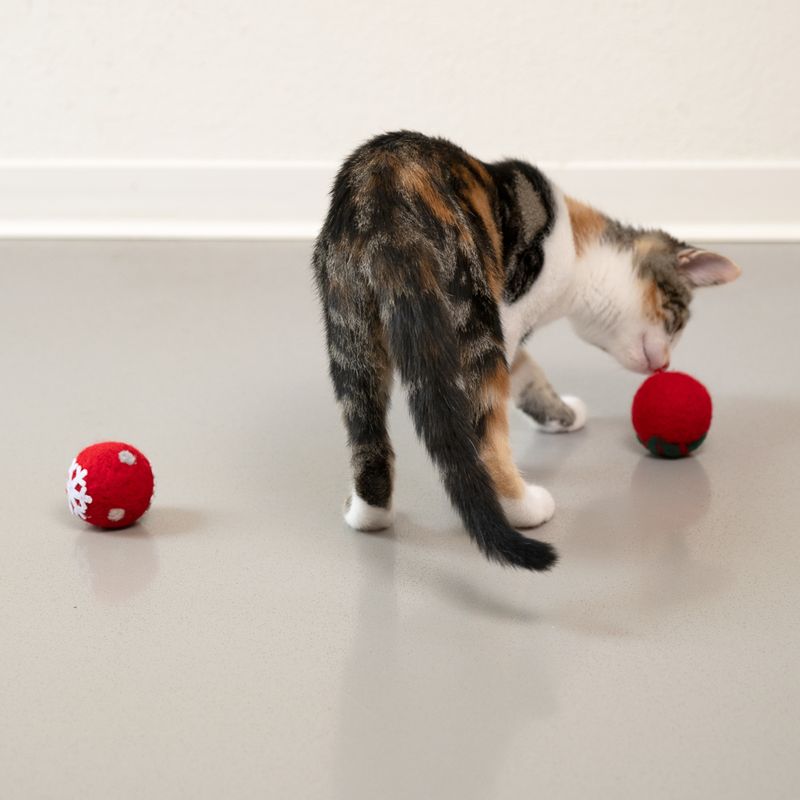Modern Living Wollkugeln Laponia für Katzen