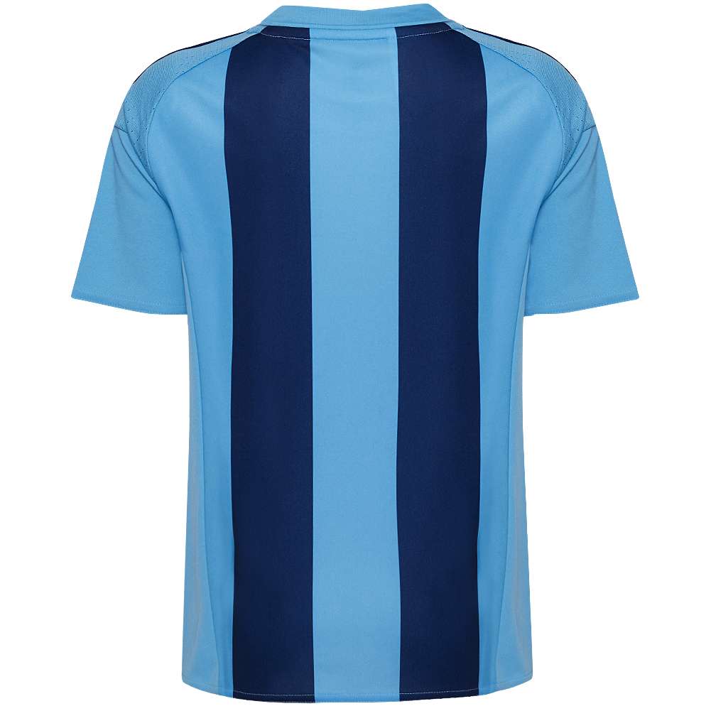 Djurgardens IF adidas Kinder Heim Trikot AC5557