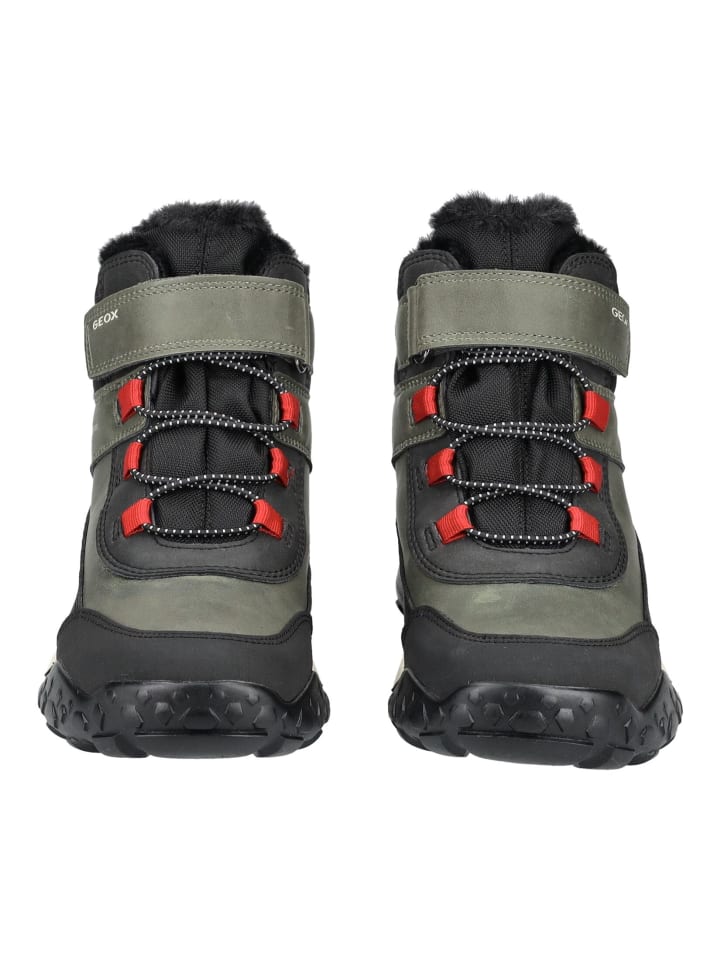 Geox Stiefelette in Grün/Schwarz günstig kaufen
