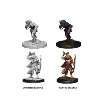D&D Nolzur's Marvelous Miniatures - Wererat & Weretiger