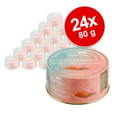 Sparpaket Terra Felis 24 x 80 g