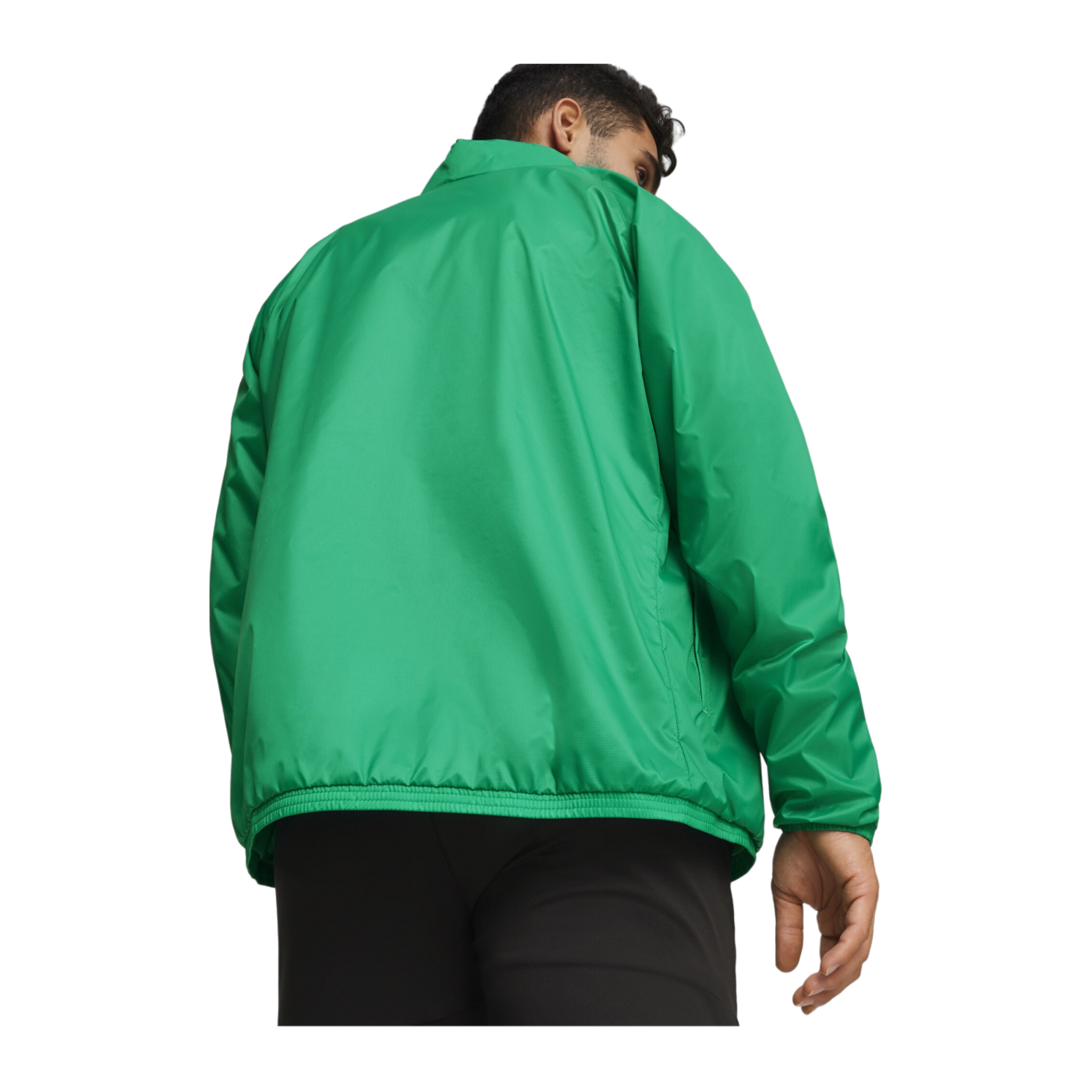 PUMA teamGOAL Allwetterjacke Grün Weiss F05