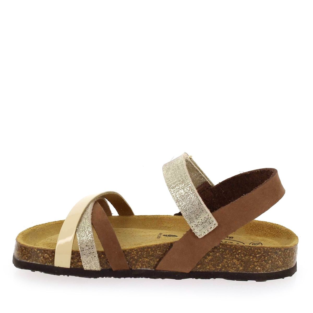 Plakton  SOFIA - Camel Argent