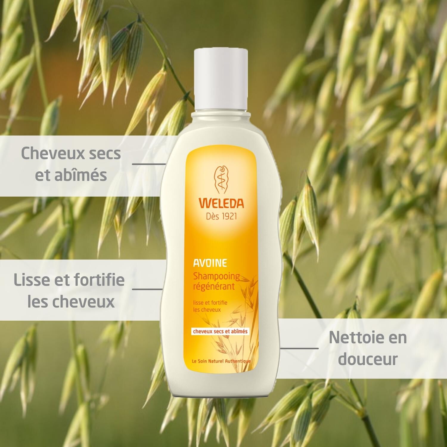 Weleda Avoine Shampooing Régénérant - Soin Cheveux Secs et Abîmés - 190 ml