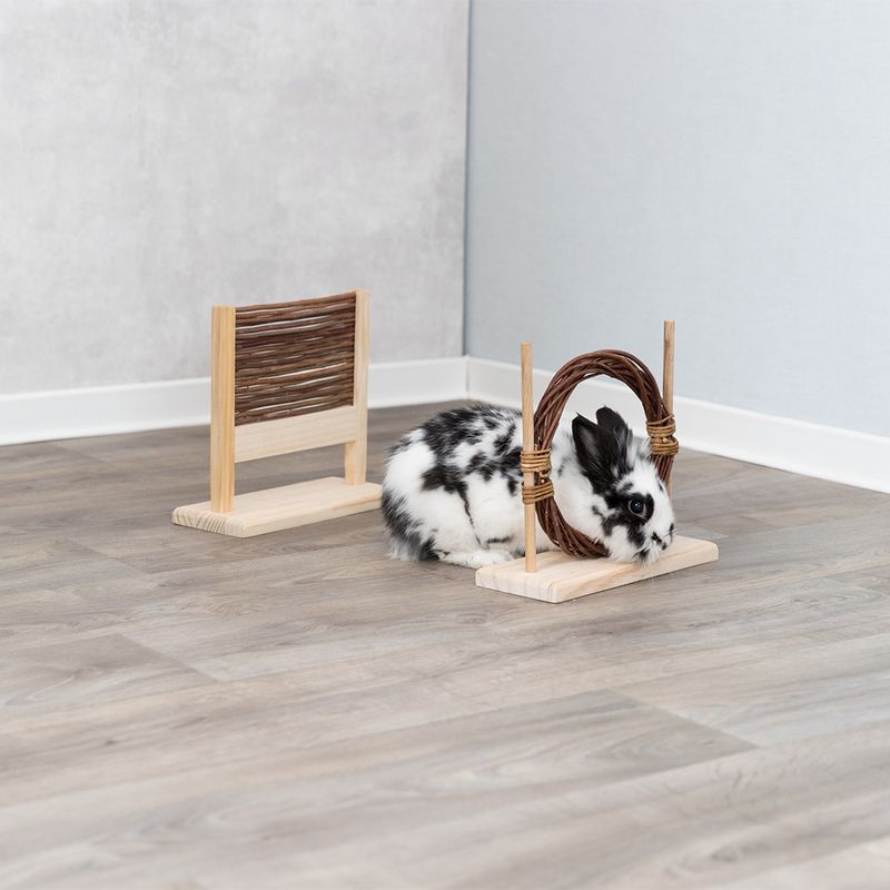Trixie Agility-Set für Kaninchen zu TOP-Preisen