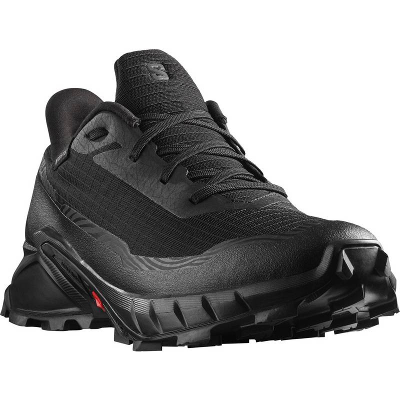 Salomon ALPHACROSS 5 Multifunktionsschuhe Herren