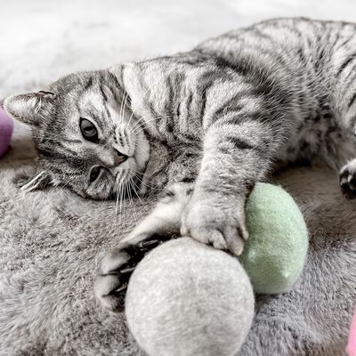 Aumüller Natürliche Wollfilzkugel