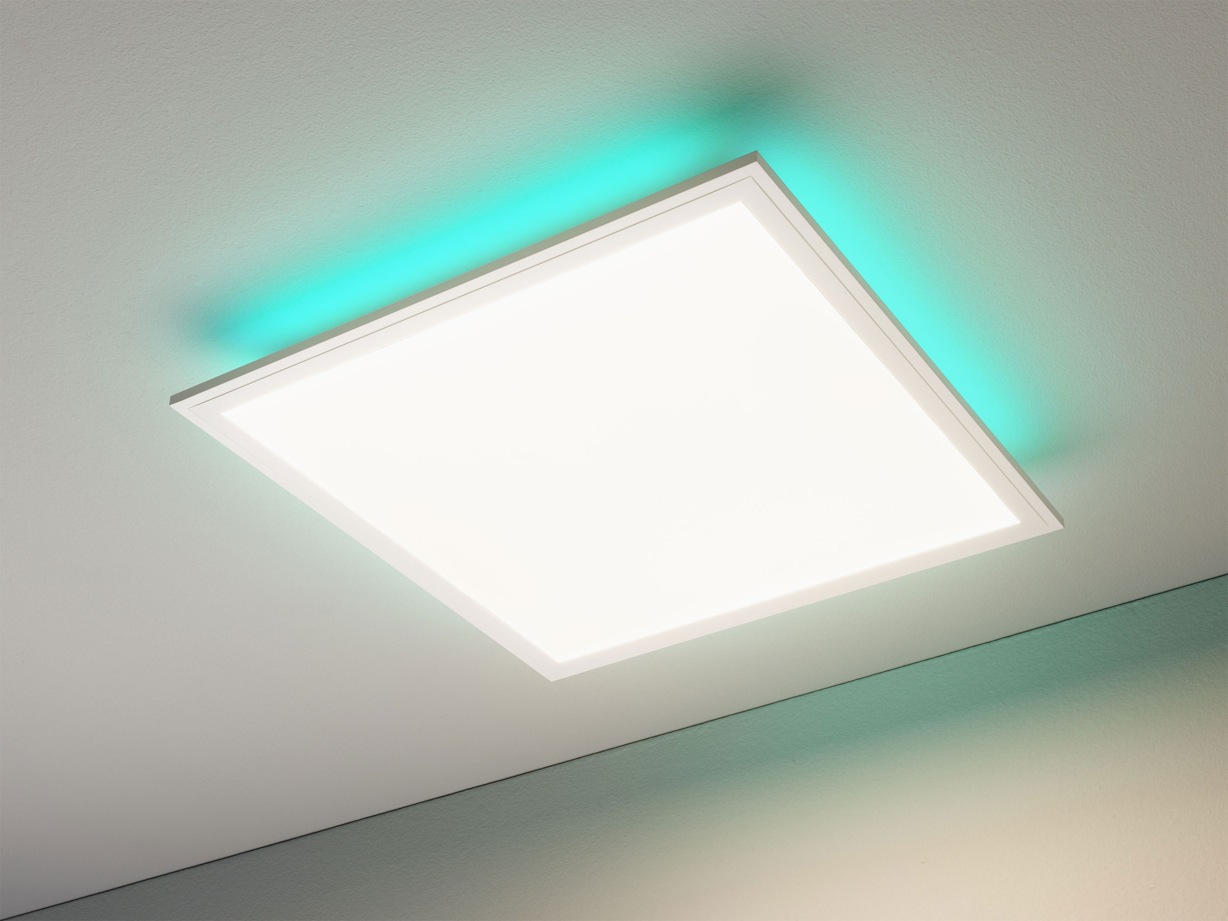 casa NOVALED-Panel