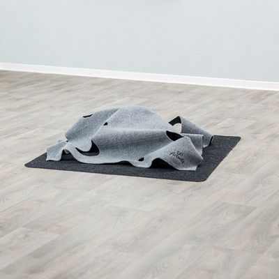 Trixie Cat Activity Adventure Carpet